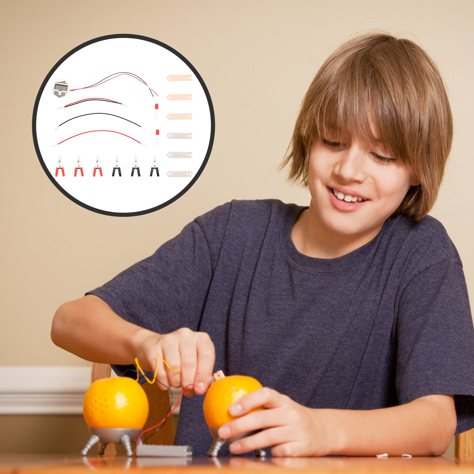 Science Project Physics - 2Sets Fruit Battery Experiment Science Kit