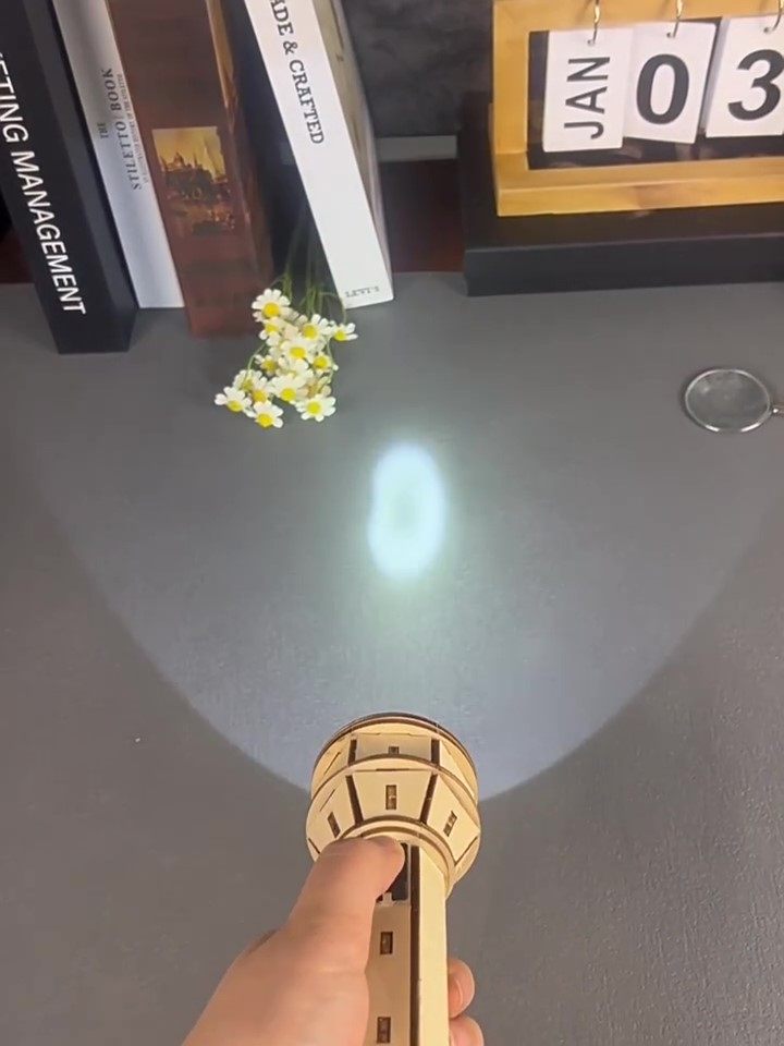 Wooden DIY Flashlight Puzzle K - đánh giá và giá Science Project