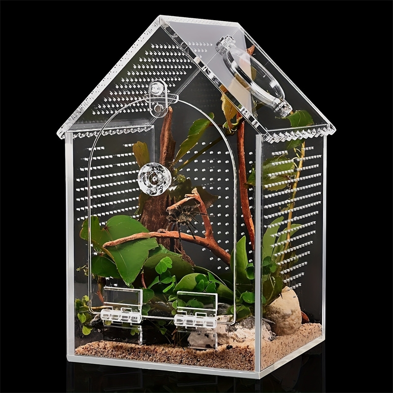 Transparent Acrylic House Inse - đánh giá và giá Science Hobbyist