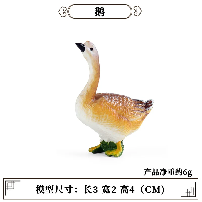Education Teaching Tool Poultr - đánh giá và giá Science Toys