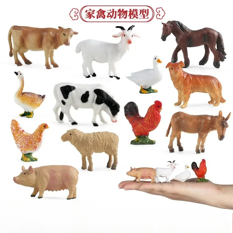 Education Teaching Tool Poultr - đánh giá và giá Science Toys