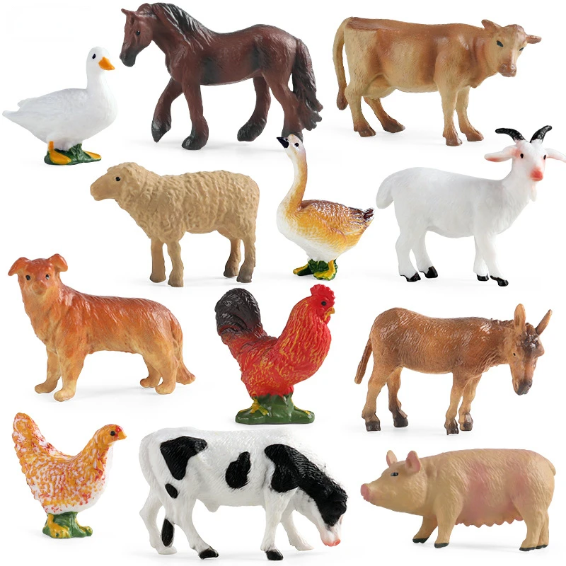 Education Teaching Tool Poultr - đánh giá và giá Science Toys