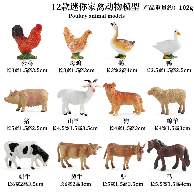 Education Teaching Tool Poultr - đánh giá và giá Science Toys